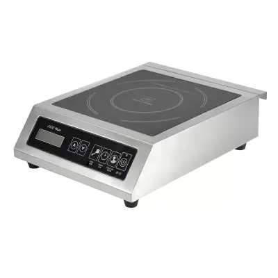 Induction Cooker D350A